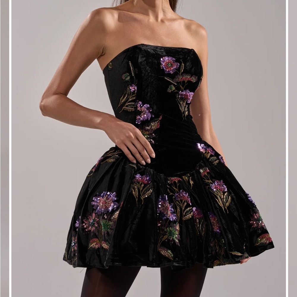 AKIRA LATE NIGHT GARDEN PARTY VELVET MINI DRESS